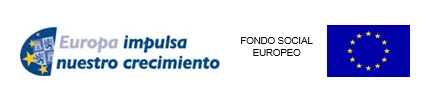 FSE-carrusel